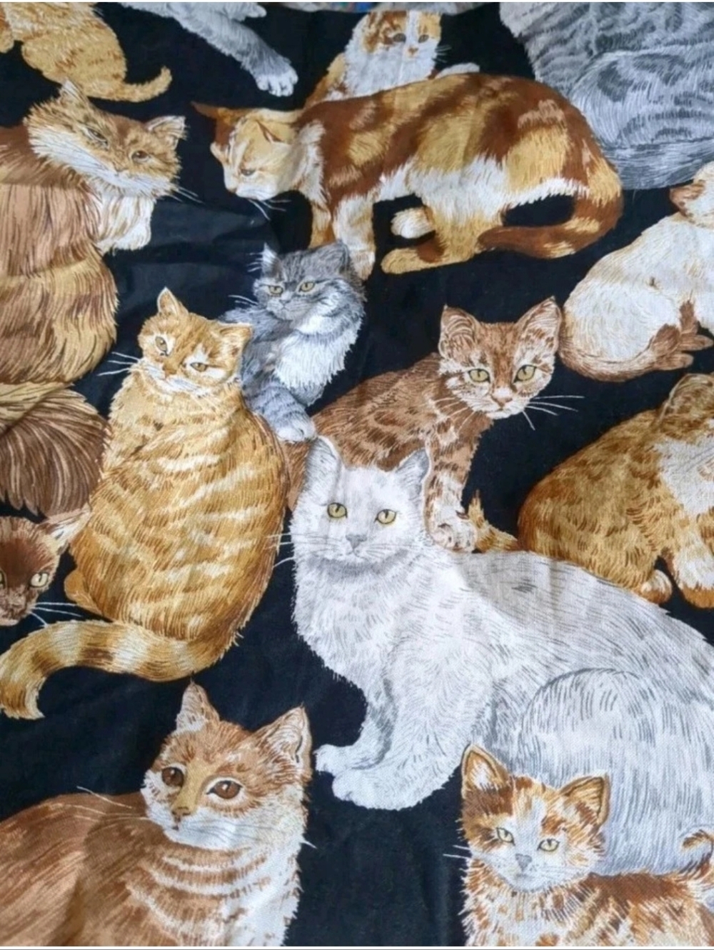 Vintage VIP Cranston Print Works Cats Kittens on Black Background Cotton 44"x72"
